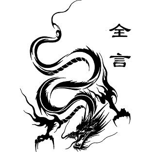  蒋澎龙的推挡技术,用什么胶皮,蒋澎龙个人资料